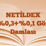 NETİLDEX %0,3+%0,1 Göz Damlası
